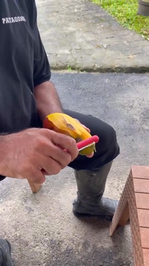 dr. Zaidul Akbar on Instagram: "Maha Besar Allah yang menciptakan mangga chise ini.. susah diungkapkan dgn kata2 , bahkan ustadz @roni_hamsyah sampe tak mampu mengungkapkan rasanya buah ini saat nyobain..monmaap, saya jg dikasi sahabat, jd sementara baru bs menceritakan kejadian pemotongan buahnya setelah kmrin fotonya dulu.. semoga Allah kasi kesempatan yaa nyobain mangga ini.. . Buah sejatinya yaaa.. jk ia bermusim trus bagus aja kita makan, tp yg lbh bagus lg adalah makanlah buah pada saat mu