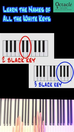 Learn the Name of the White Key (Goofy Loopy Piano Chord) #fundamental #lesson #pianotutorial #music