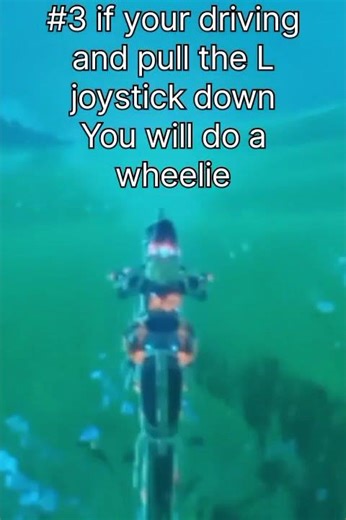 Here are 4 quick tips about the Master cycle you probably didn't know in Botw