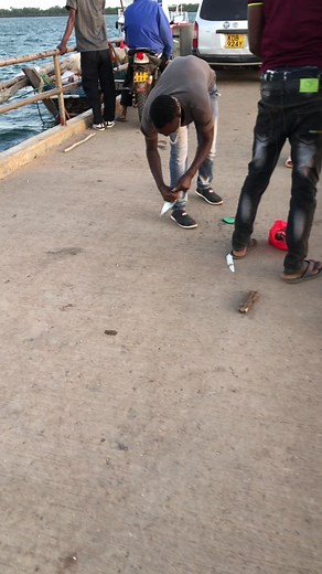 Exploring the Shimoni Jetty Fishing Experience in Kenya
