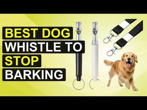 Top 5 Best Dog Whistle To Stop Barking | Ultrasonic Silent Buster