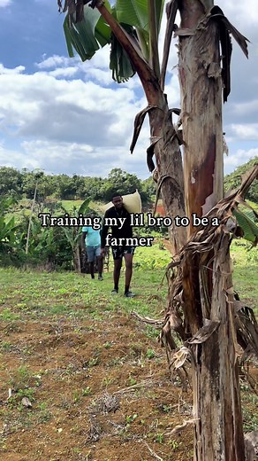 When you bring your brother on the farm @Řåjãý Śmïťh. #ViralFarming #womeninagriculture #farmlife #sagethefarmgirl #agriculture #fyp #farmher #jamaicantiktok #jamaicanfarmer
