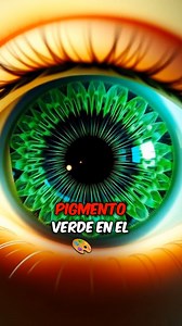 Por qué los ojos verdes son tan especiales ! #ojos #ojosverdes #genetica #cuerpohumano #ciencia #reelsviralシfb #virals #viralpost2025シ | Secretos del Cuerpo Humano