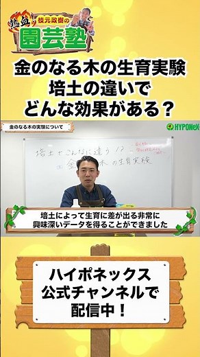 [Gardening Basics] Introducing a Money Tree Growth Experiment! ~Differences in the cultivation so...