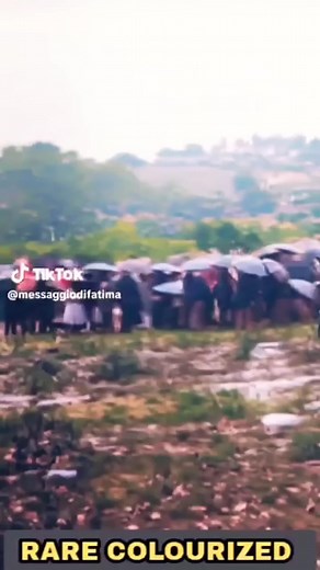 15K views · 1K reactions | The rare photographs taken of "Miracle of...