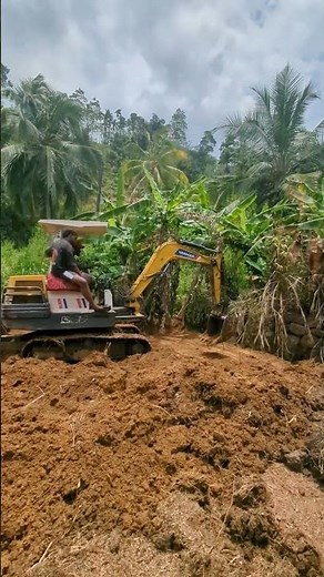 Farm Land Makeover | Mini Excavator Clearing Perfection 🌾🎥