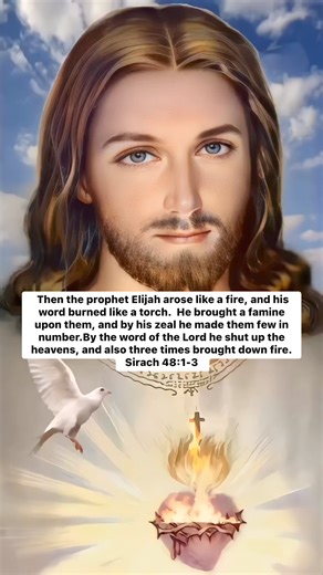 Never flag in zeal, be aglow with the Spirit, serve the Lord.( Romans 12:11 ) | My Mother Mary