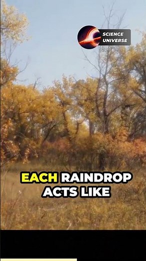 the science of everyday life 🔬 #science