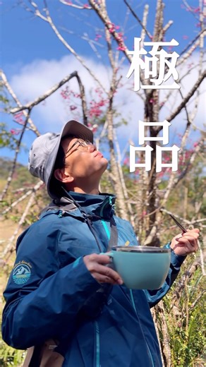 桜下の麺（おうかのめん） #noodles