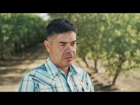 Farming with Purpose: How California Growers Embrace Sustainability and Innovation