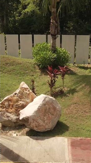 Cerco de Obra | The Don Dom | La Isla