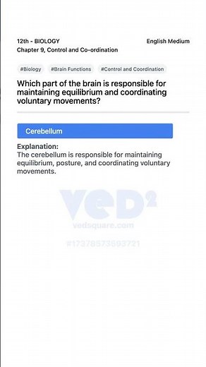 Brain Parts Function Control and Coordination Biology 12th