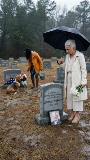 Elderly Woman Rescues Stray Dog Mourning at Soldier's Grave from Cruel Man! #dog #rescue #heartwarming | Team Stories