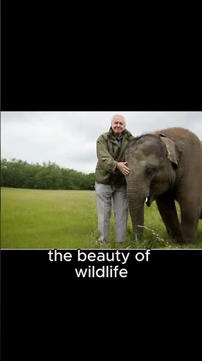 Sir David Attenborough: The Voice That Inspired the World 🌍