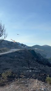 🔥 Bonne nouvelle en Haute-Corse : l’incendie de Castello-di-Rostino a été fixé hier soir après avoir parcouru 64 hectares de végétation 🚒 Au plus fort de l’intervention, 60 sapeurs-pompiers ont été mobilisés, appuyés par 4 Canadair et 2 Dash 8 afin de contenir la progression des flammes 👉 Des moyens restent engagés sur le secteur pour traiter les derniers points chauds et prévenir tout risque de reprise __ 📸 Mairie de Canavaggia (Vidéo daté du 18 juin au soir) 🚫Évitez le secteur 🚒Facilitez