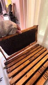 Home Made Varroa Mite Heat Machine to save Honey Bees.