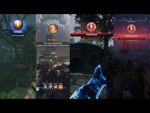 Call of Duty Zombies Perkaholic Evolution (BO1,BO2,BO3,IW,WW2,BO4,BOCW,BO6,BO7)