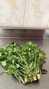 Quick and Easy Coriander Freezing Tutorial