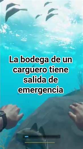 Stranded Deep. La bodega de un carguero tiene salida de emergencia