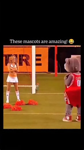 FoundersFocus on Instagram: "Being a mascot is often described as one of the most ent ertaining roles in the world of sports. These performers bring energy to the stadium by interacting with fans, pulling off hilarious pranks, and showing off impressive athletic stunts. From playful interactions with cheerleaders and players to funny moments in the stands, mascots play a vital role in keeping the atmosphere lively and engaging for audiences of all ages. This compilation showcases some of the mos