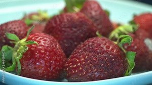 timelabs rotting and molding of strawberries