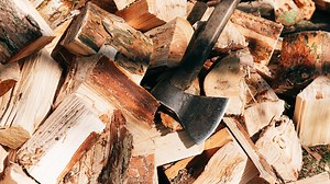 11 Must-Have Items On The Farm. Should You Buy Them?