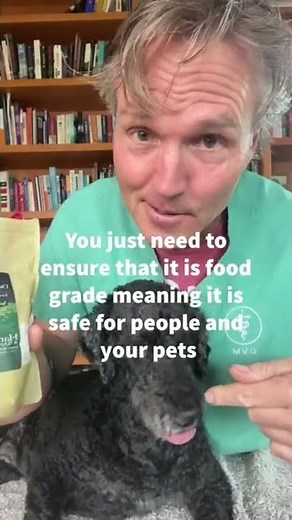 Does your dog have roundworm? Here’s the best natural holistic remedy