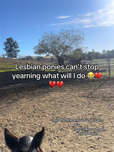 #polandhetalia #equestrian #poland #horse #hetalia