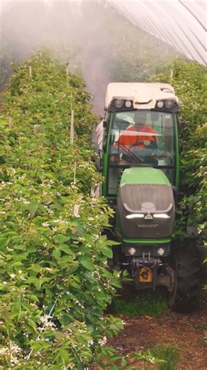 New Edge Microbials - Built by Listening, Backed by Science | NEM