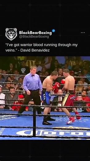 David Benavidez is an American professional boxer known as "El Monstruo" or "Bandera Roja", who is the current WBA and WBC light heavyweight world champion. With an undefeated professional record of 30 wins, 0 losses, and 24 knockouts, he previously held the WBC super middleweight title twice between 2017 and 2020. Benavidez is known for his knockout power and has been a champion in two weight classes. @blackbearboxing 🐻 • • • #Boxing | #BoxingHighlights | #Benavidez | Black Bear Boxing