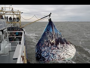 Hauling a deep-sea trawl net fishing