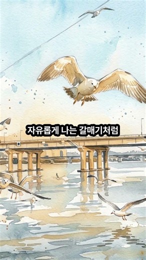 서울의꽃 한강 한강유람선한강크루즈 #관광명소 #숨은여행지 #인생샷명소