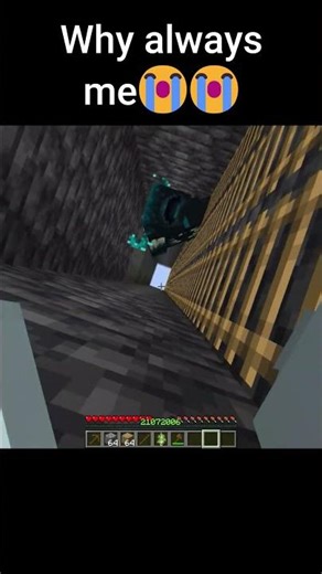 Never Ignore Your Dog's Warning in Minecraft! 💀🐶 #shorts #usa