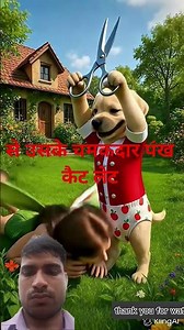 funny kutte Ne pari ke sath Dhokha Kiya 😂😂😂😭😭