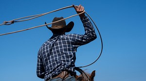 'It's all in Mother Nature's hands': Rancher discusses southern Arizona cattle industry