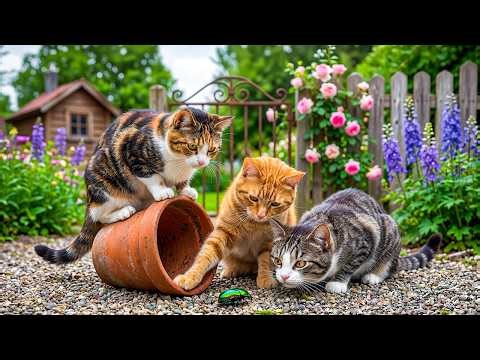 12 Hours of Calming Music for Cats 🐕🎶 Peaceful Sleep Sounds for Cats 💖 Relax All Night