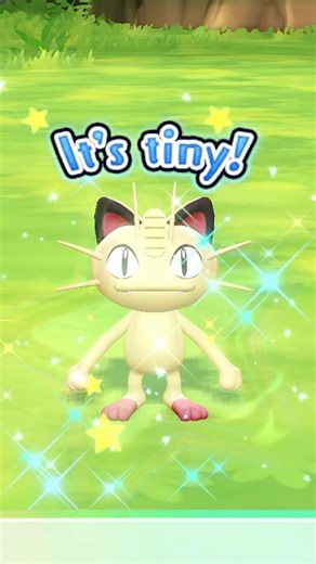 shiny TINY meowth 🌟💰 !! in pokémon let’s go eevee #pokemon #shinypokemon #pokemonletsgo #meowth