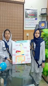 Human Digestive System Project 🌟 A visual journey through the digestive system! - Mouth : Food breakdown begins - Esophagus : Food travels down - Stomach: Acids & enzymes break food - Small Intestine : Nutrient absorption - Large Intestine : Water absorption, waste removal Models, diagrams, and interactive elements make learning fun and engaging! 😊 Join The Oxford Education System School & college and be a part of a brighter future!" 𝗙𝗼𝗿 𝗮𝗱𝗺𝗶𝘀𝘀𝗶𝗼𝗻𝘀 & 𝗶𝗻𝗳𝗼 👇 ☎️061-6304270 📱03