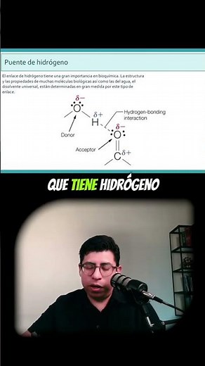 ¿Qué son los puentes de hidrógeno?
