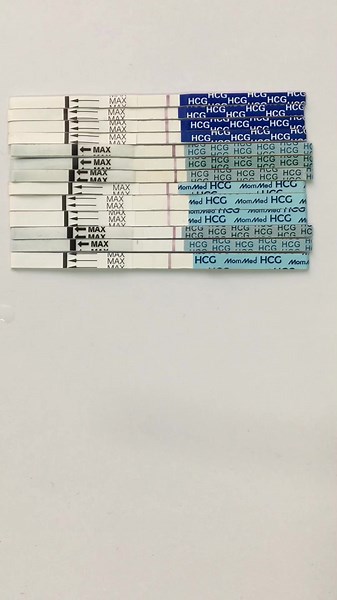 14dpo Pregnancy Test Update 💕✨🤩 | Mommed TTC Journey