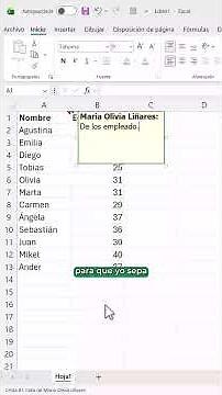 Notes and comments in Excel