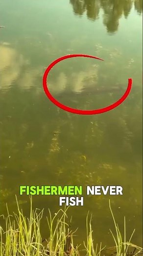 These Sunglasses Let You See Fish