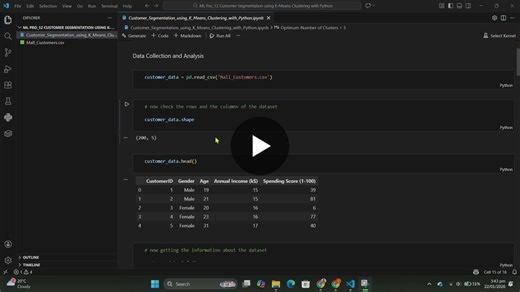 K-Means Clustering for Customer Segmentation with Python | Engr. Zaeem Zaman posted on the topic | LinkedIn