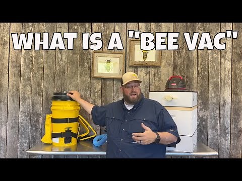 What is a Bee Vacuum ? | Bee Removal Tools | Beekeeping