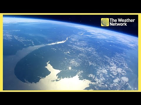 How the Evolution of Land Plants Helped to Shape Earth