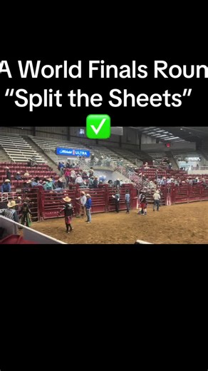 @IMBA @baadtotheboneproductions @truegrit #peewee bull rider #give it all you got