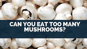 Can You Eat Too Many Mushrooms? [HOW Many]