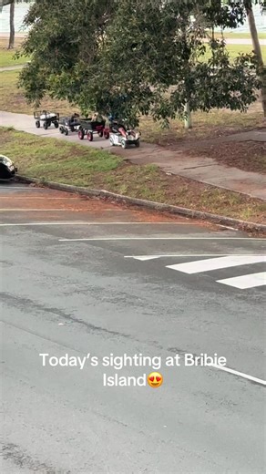Sightseeing Highlights at Bribie Island