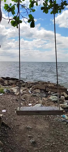 ockoo_microfarm (@ockoo_microfarm)’s videos with original sound - ockoo_microfarm