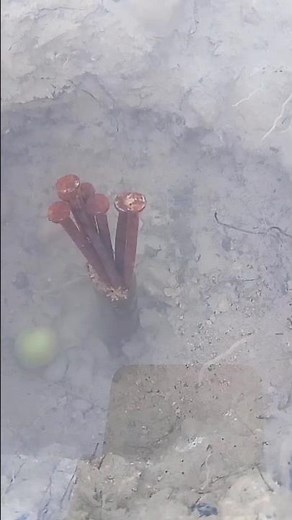 The Best Way to Fix a Water Leak. #waterleaks